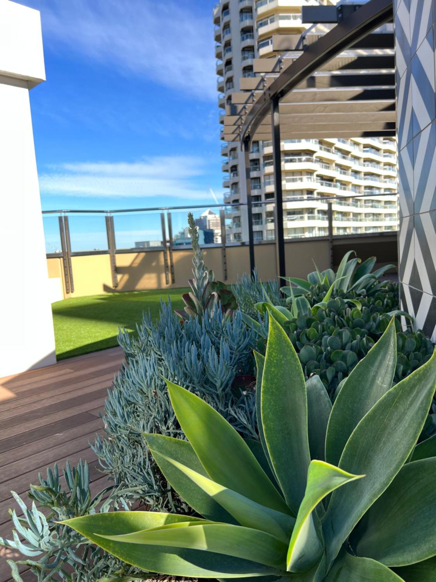 Sydney Hyde Park Private Apartments By Paxsafe Exteriér fotografie